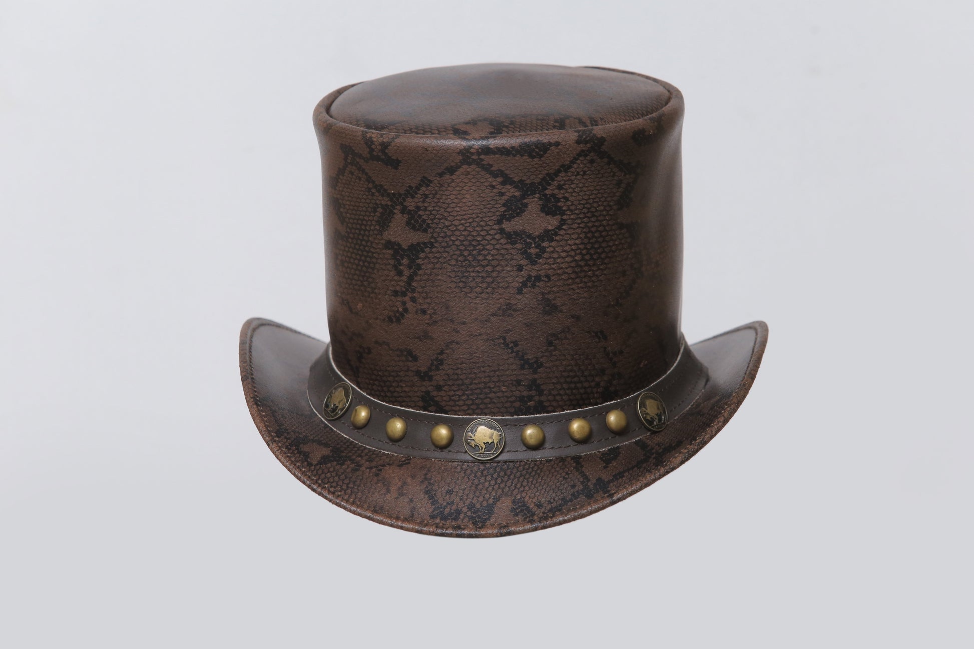 Snake Vector Top Leather Hat Leather House
