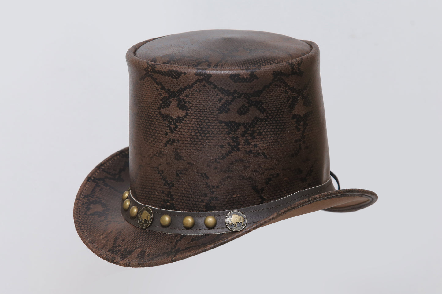 Snake Vector Top Leather Hat Leather House