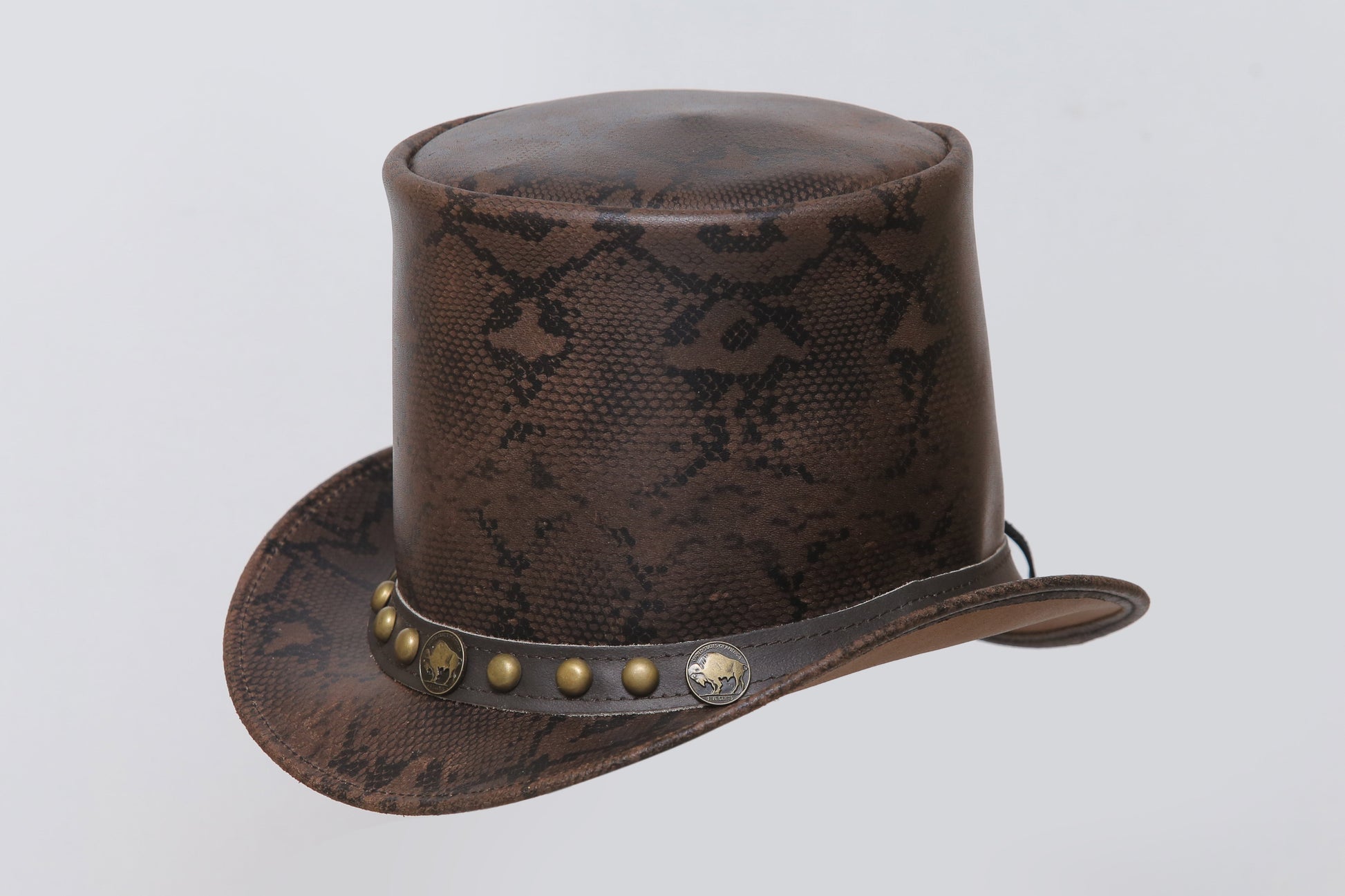 Snake Vector Top Leather Hat Leather House